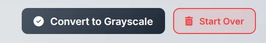 Convert to Grayscale button with Start Over option.